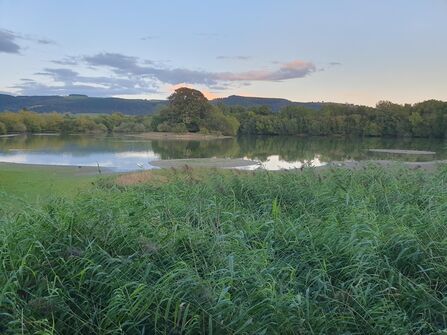 View of a lake at a nature reserve