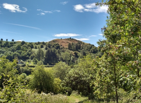 Wooded landscape with hill in the background