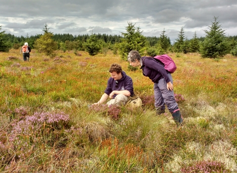 Volunteers surveying a bog Local Wildlife Site