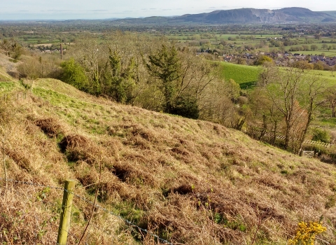 Gwarchodfa Natur Llanymynech Rocks  - golygfa yn y gwanwyn © YNM