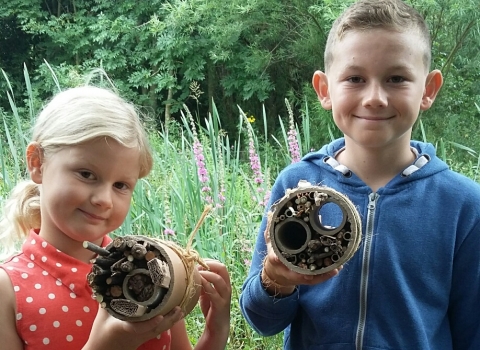 Children making bug homes