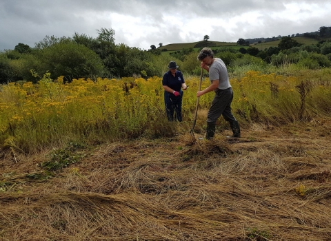 Volunteers haymaking 2017 copyright Montgomeryshire Wildlife Trust