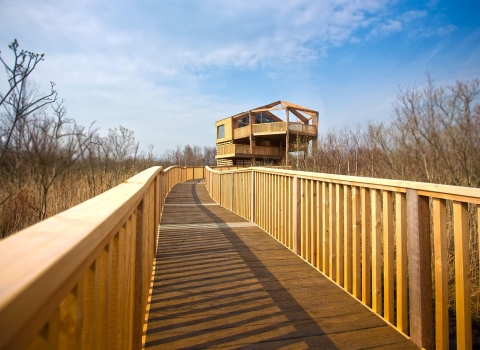 Cors Dyfi observatory bathed in sunshine copyright Montgomeryshire Wildlife Trust