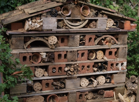 bug hotel