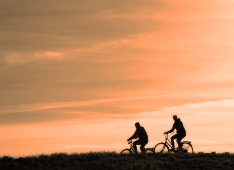 sunset cyclists