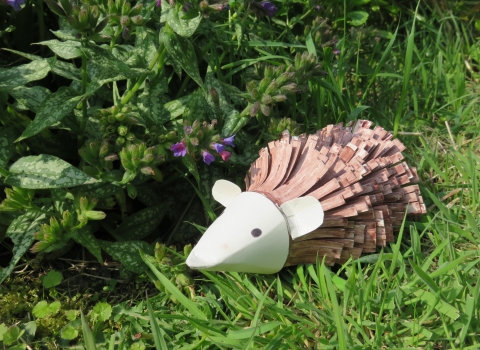 Hedgehog Friend in the garden copyright Rebecca Wallbank