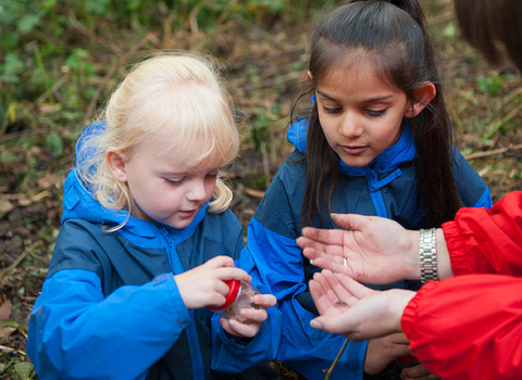 Children with insects copyright Paul Harris/2020VISION