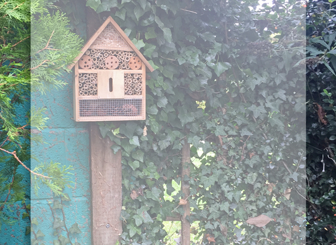 Insect home in a wildlife garden copyright Heidi Addicott