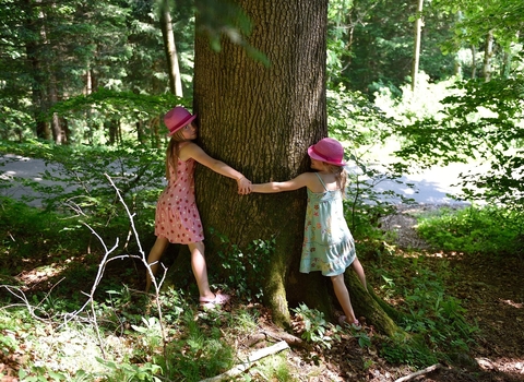 Two girls hugging a tree; image by Pezibear on Pixabay