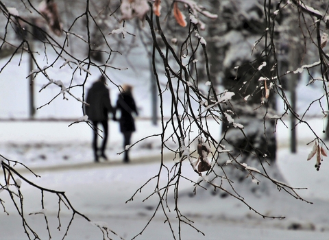 A couple walking hand in hand in a snowy woodland; image by pasja1000 from Pixabay