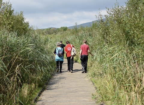 People walking along the boardwalk at the Cors Dyfi Nature Reserve