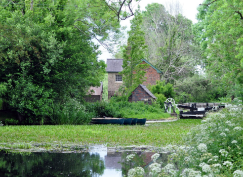 Summer scene of the Montgomery Canal with building in the background and boats on the water