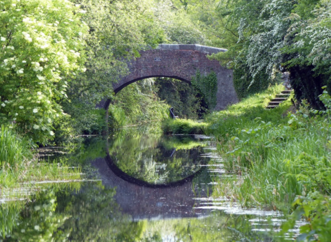 Summery scene of bridge over the Montgomery Canal with reflection in the water and blossom on trees