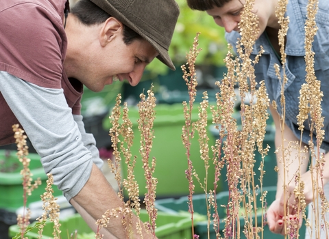 A man and a woman doing gardening together