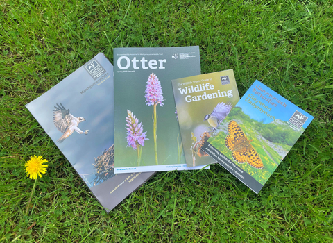 Membership pack for Montgomeryshire Wildlife Trust spread out on grass