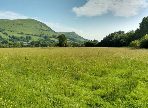 Beautiful nature reserve with green hills in the background