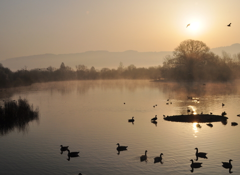 Photograph of lake on nature reserve at sunrise on a misty Autumn morning