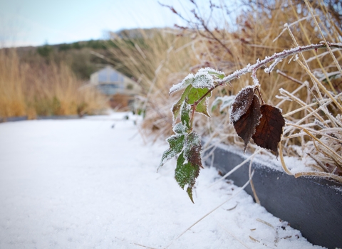 Cors Dyfi in the snow, Dyfi Wildlife Centre in the background