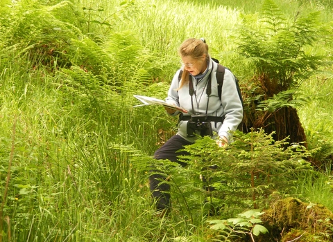 Judi Stretton surveying wildlife in Montgomeryshire