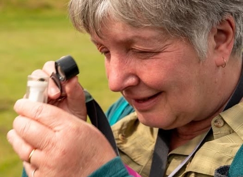 A lady examining a moth in a pot