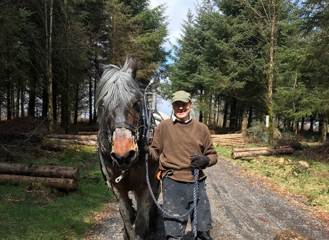 A man walking with his horse through a forest