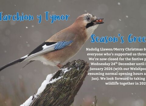 Close up of Jay with festive message