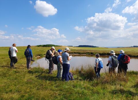 People standing around a pool looking for dragonflies