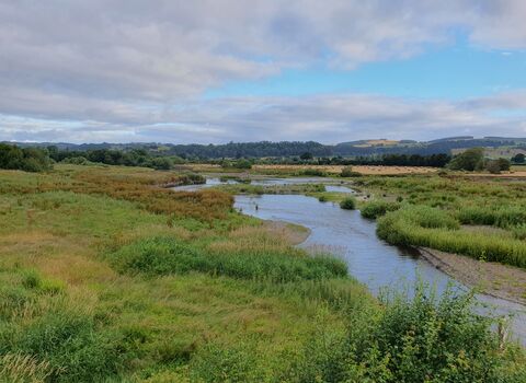 Landscape of Dolydd Hafren nature reserve, with the river in shot