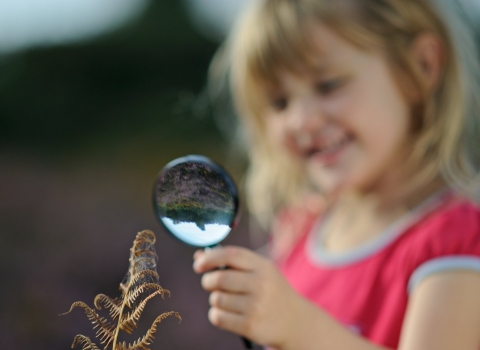 Child looking at a spider web on fern copyright David Tipling/2020Vision