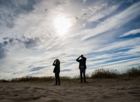 Birdwatchers in silhouette