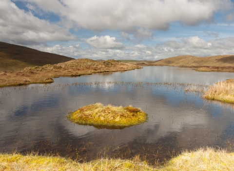 Peat pool on Pumlumon Peter Cairns/2020VISION