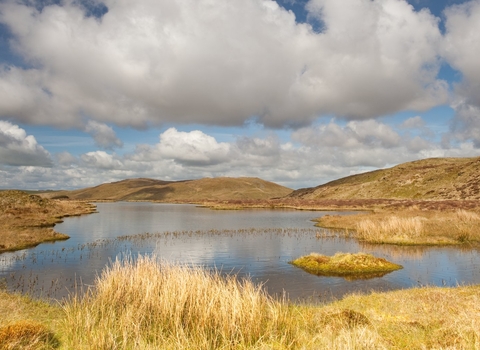 Peat pool on Pumlumon copyright Peter Cairns/2020VISION